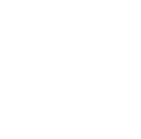 WordPress logo